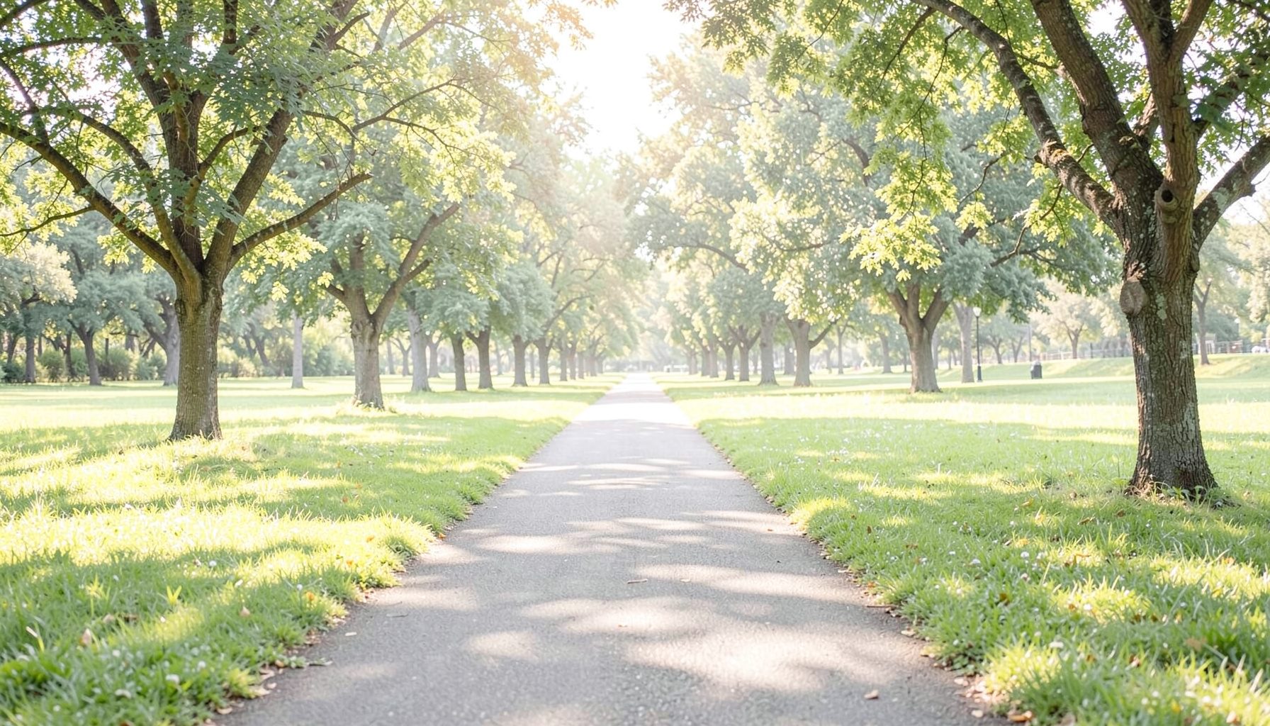 Wide view of a sunlit walking path through an open green park, soft pale greens and warm grey tones, calm and welcoming atmosphere
